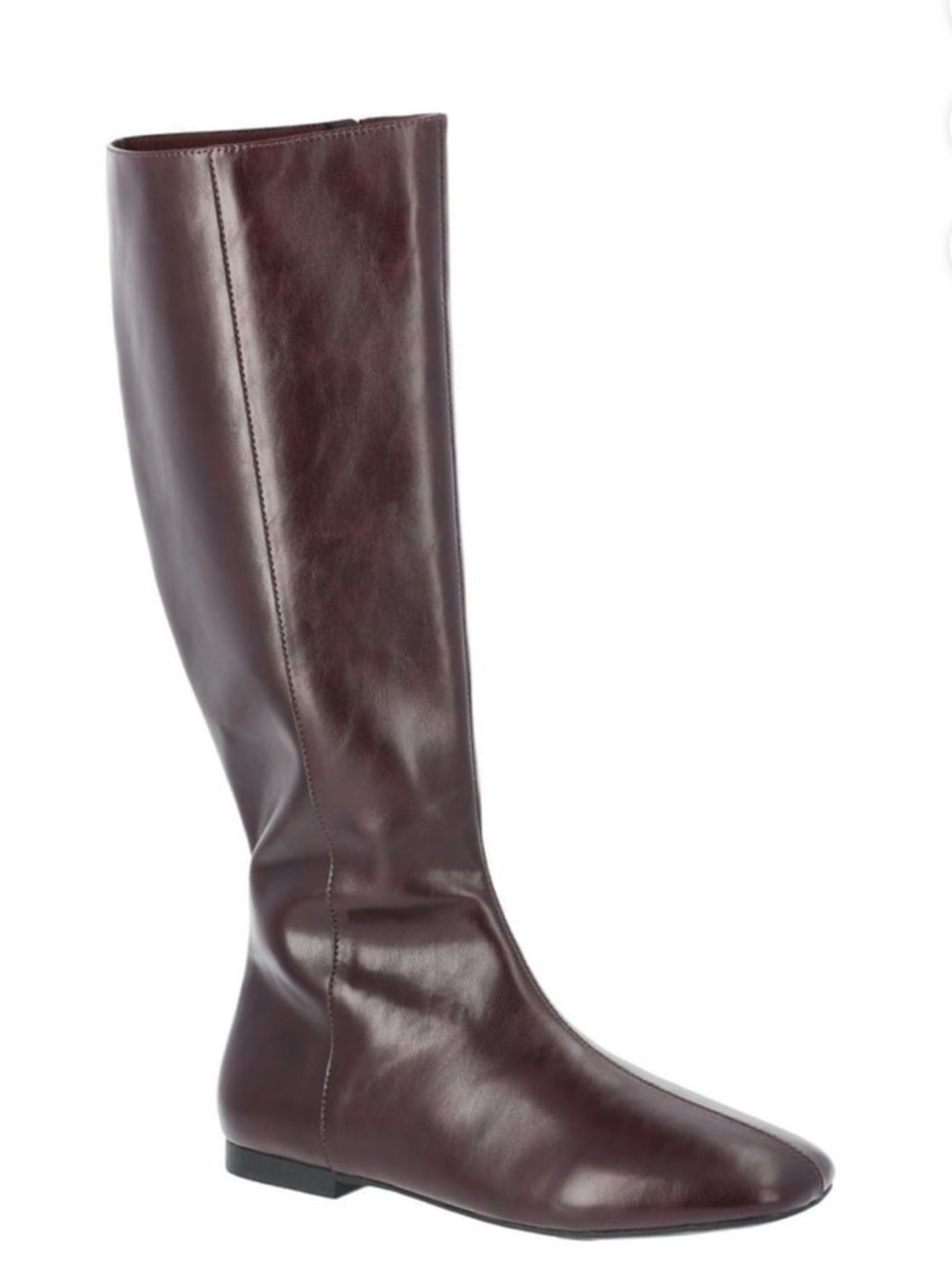 SOLD Time and Tru Tall Over-the-Knee Boot in Deep Burgundy